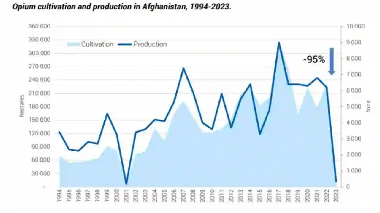 This Graph shows the swift fall in Afghanistan's Poppy production in 2023